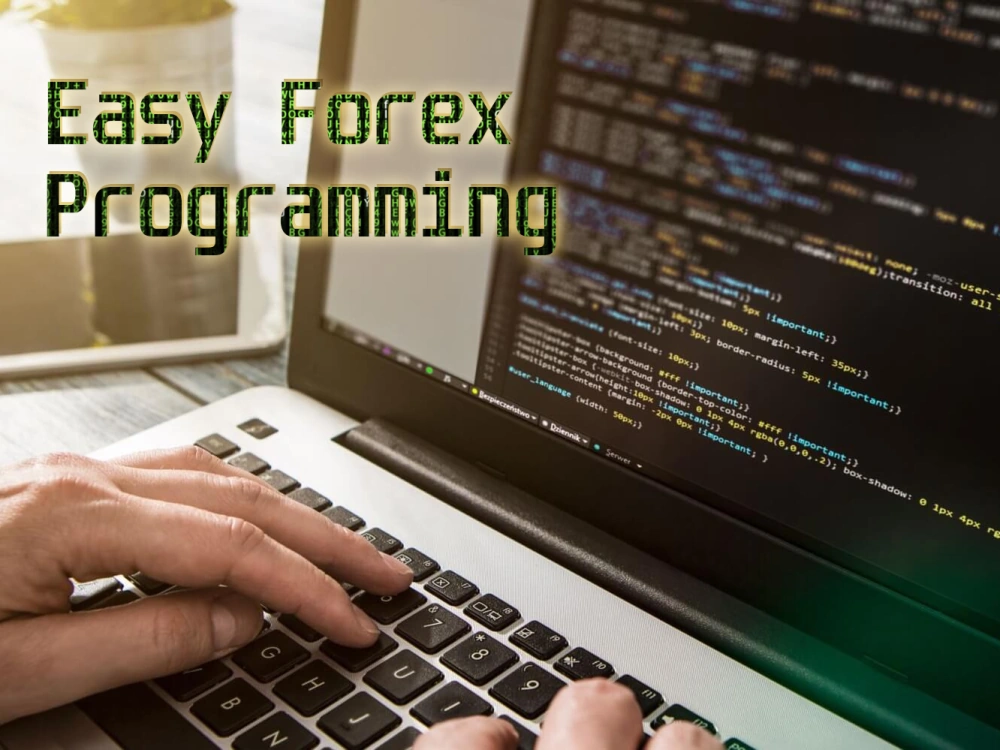 forex programmer